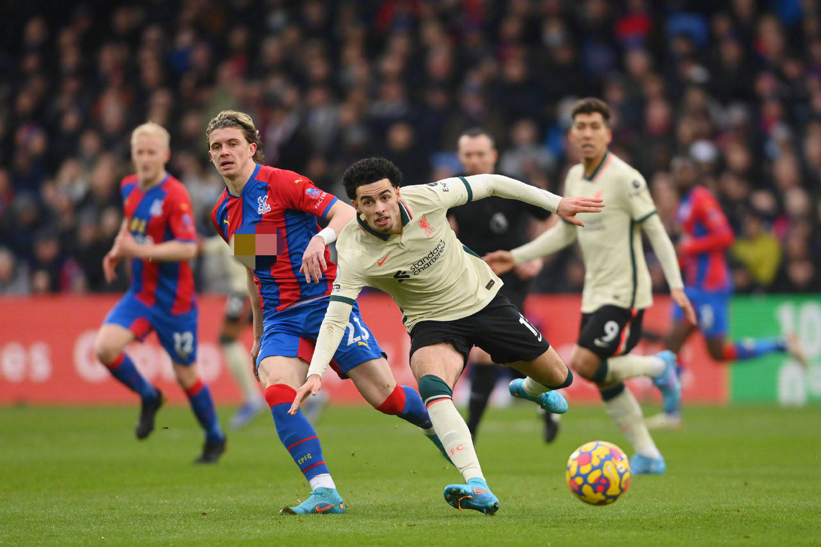 精彩表现而 精彩表现而